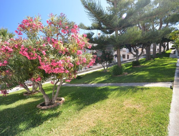 HACIENDA DEL GOLF_23