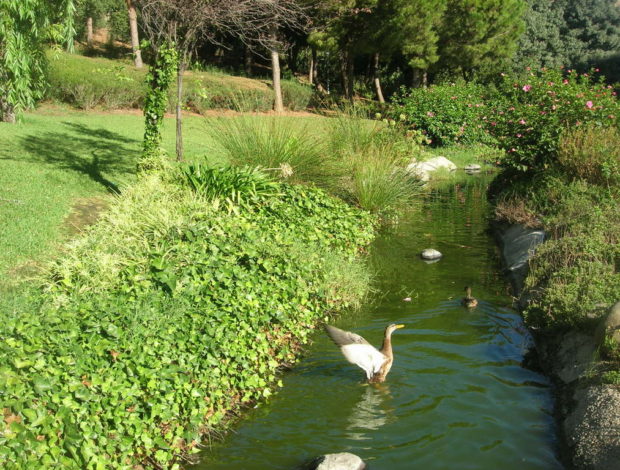 DSCN5734