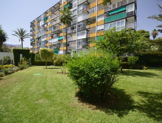 BONANZA-POOL-AND-GARDEN_041